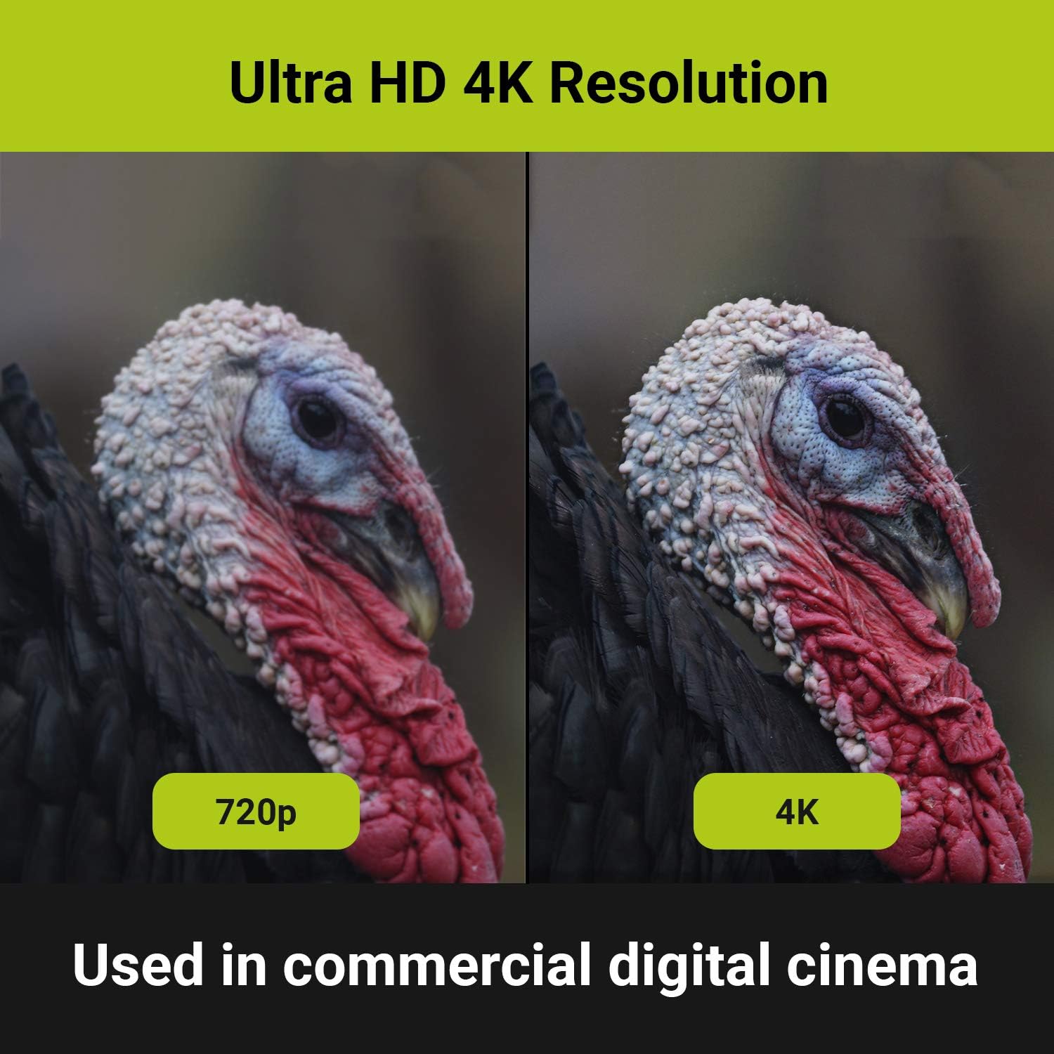 The Tactacam 5.0 Hunting Action Camera | Bow Package