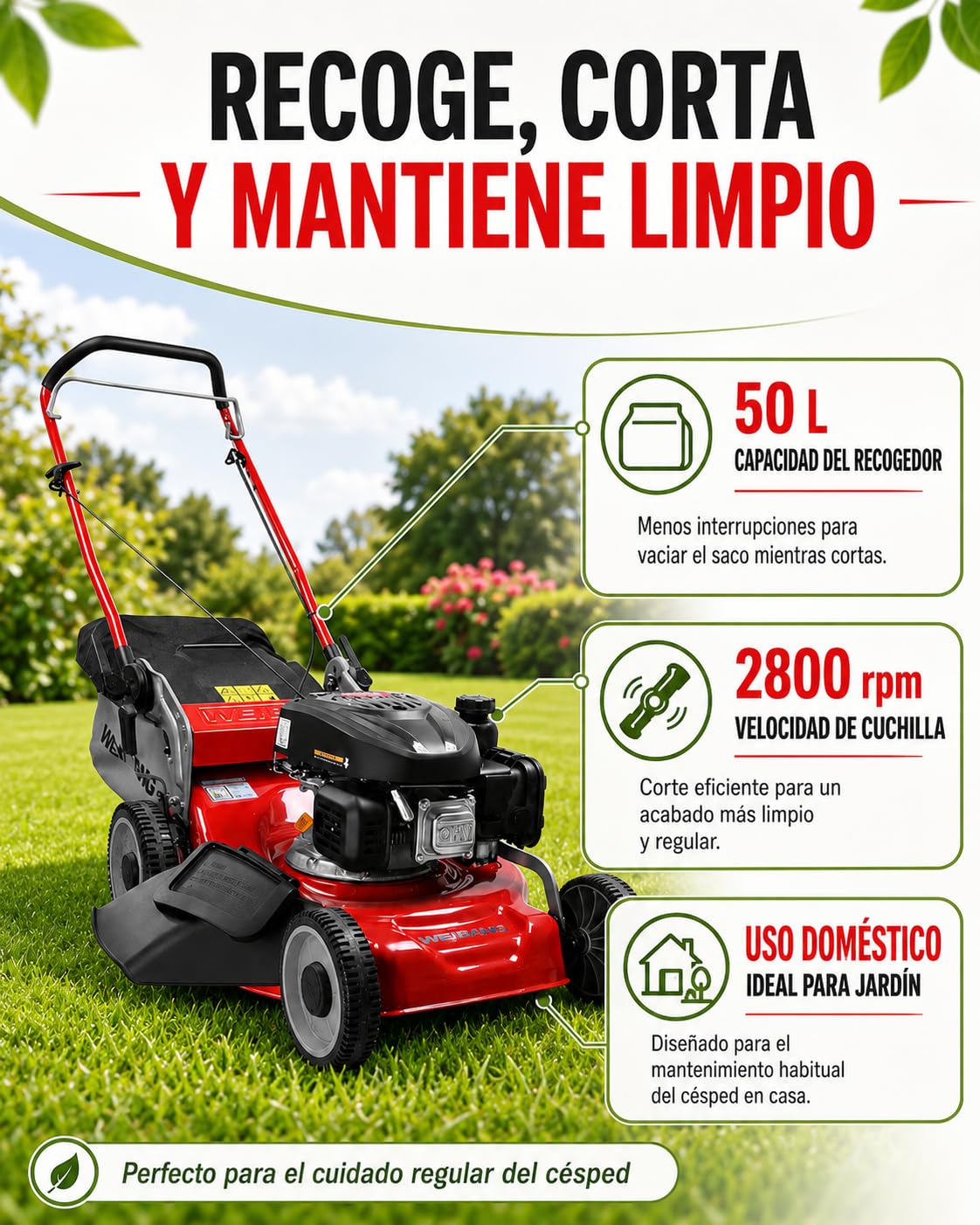 WEIBANG Cortacésped a Gasolina, Motor Loncin 1P65FE1, 45 cm Ancho de Corte, Función 3 en 1, Chasis de Acero, Saco de 50 l