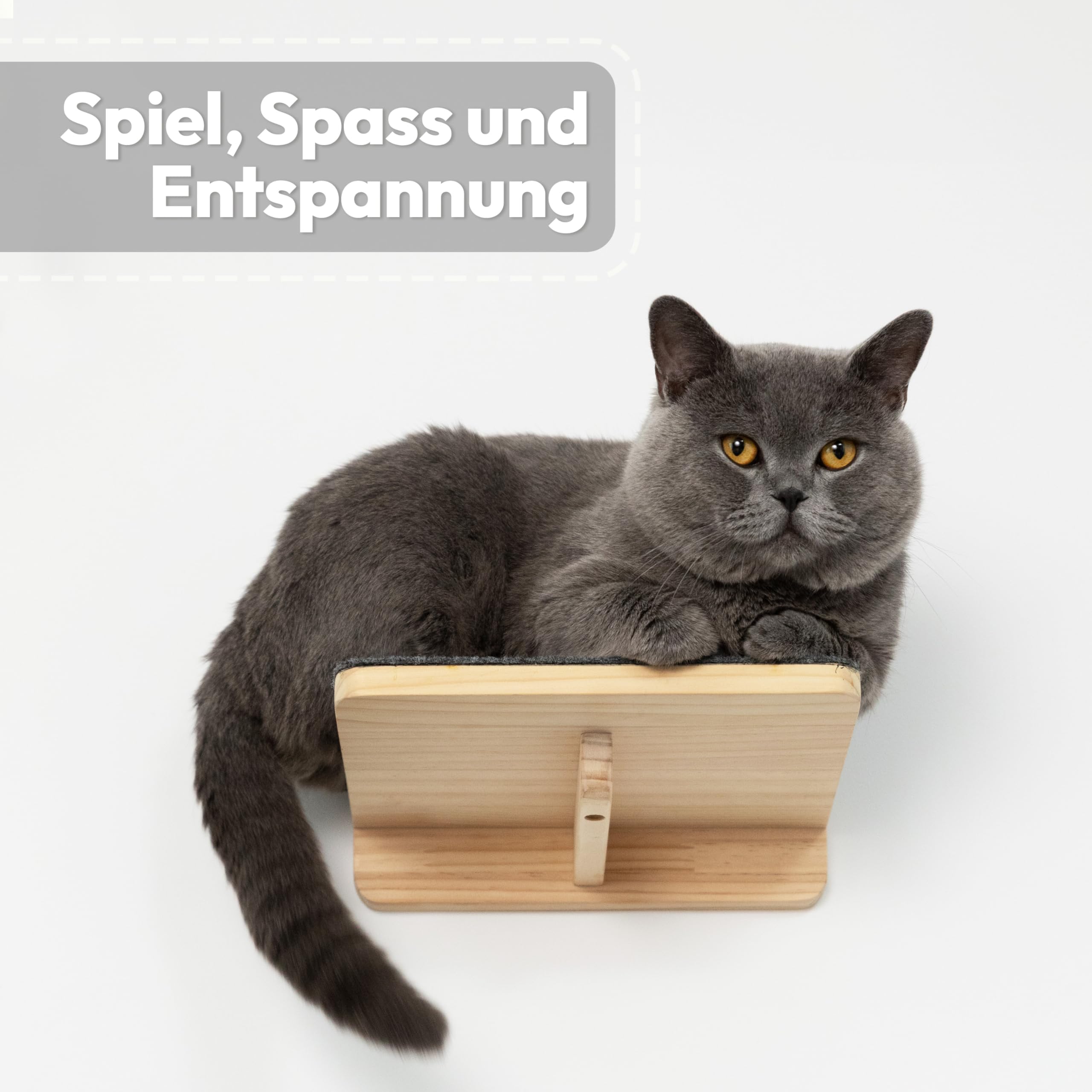 Katzen Wand-Hängematten Set – 2 Hängematten & 3 Plattformen aus Massivholz & Sisal Modularer Katzen Kletterwand-Turm für Wandmontage stabile Schlafplätze & Kletterwege