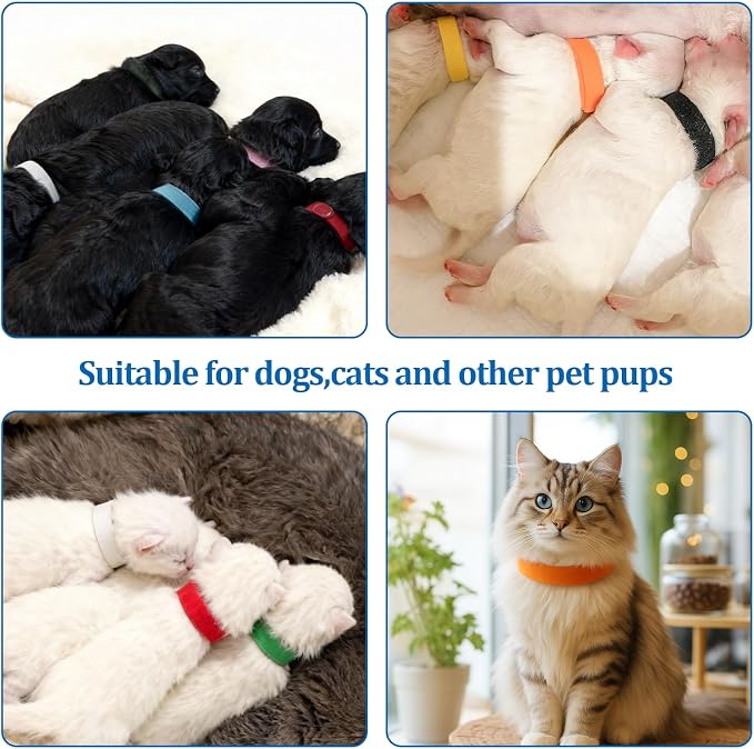 15 Collares para Cachorros Multicolor Suaves y Ajustables miniatura 6