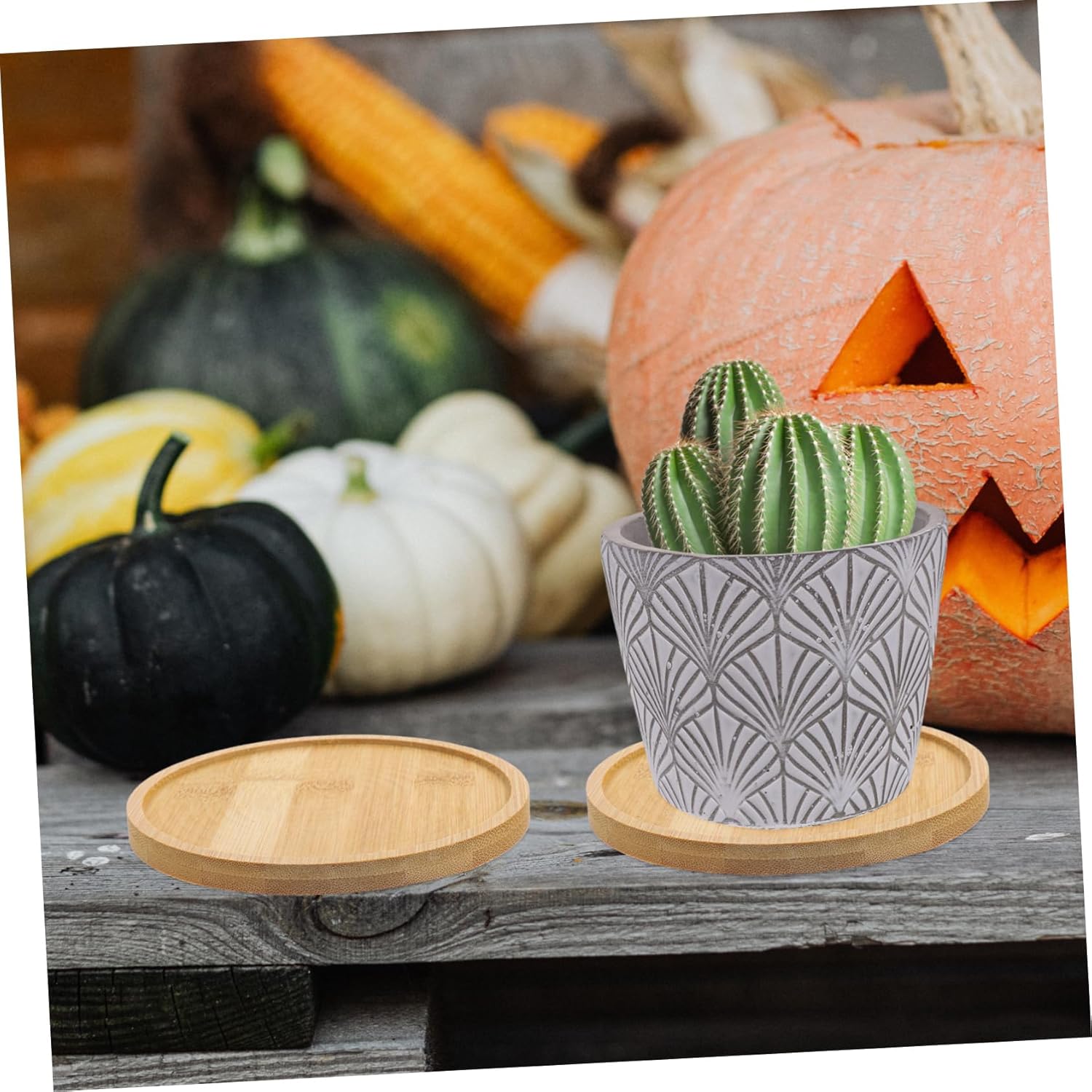 BESPORTBLE 20pcs Plant Saucer Trays for Flower Pots Water Drainage Planting Accessories for Indoor and Outdoor Use