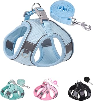 Solmoony Dog Harness for Small Medium Dogs No Pull, Puppy Harness and Leash Set, Puppy Harness, Step in Harness for Small Dogs, mesh Dog Harness. Bule, XXS