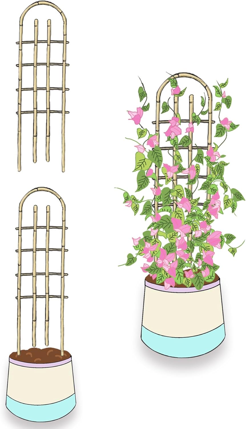 Bamboo Trellis,U-Shape Bamboo Trellis,3Feet,3pack,Trellis for Climbing Plants Outdoor Bamboo,for,Climbing Plants,Tomato, Vegetables,Flowers, Beans, Cucumber,Indoor Potted Climb Plants