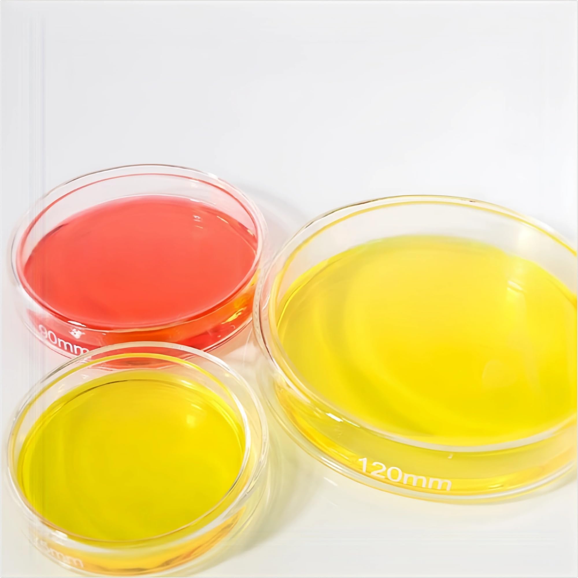 Placas de Petri de vidrio con alto contenido de borosilicato espesado con tapas - Placas de cultivo de grado de laboratorio premium de 200 mm 1 pieza