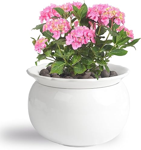 BUYMAX African Violet Pots, 6 inch Ceramic Easy Self Watering Plant Pot for Busy Plant Lovers, Automatically Absorb Appropriate Amount of Water, Flower Pot Indoor-Plants Not Included