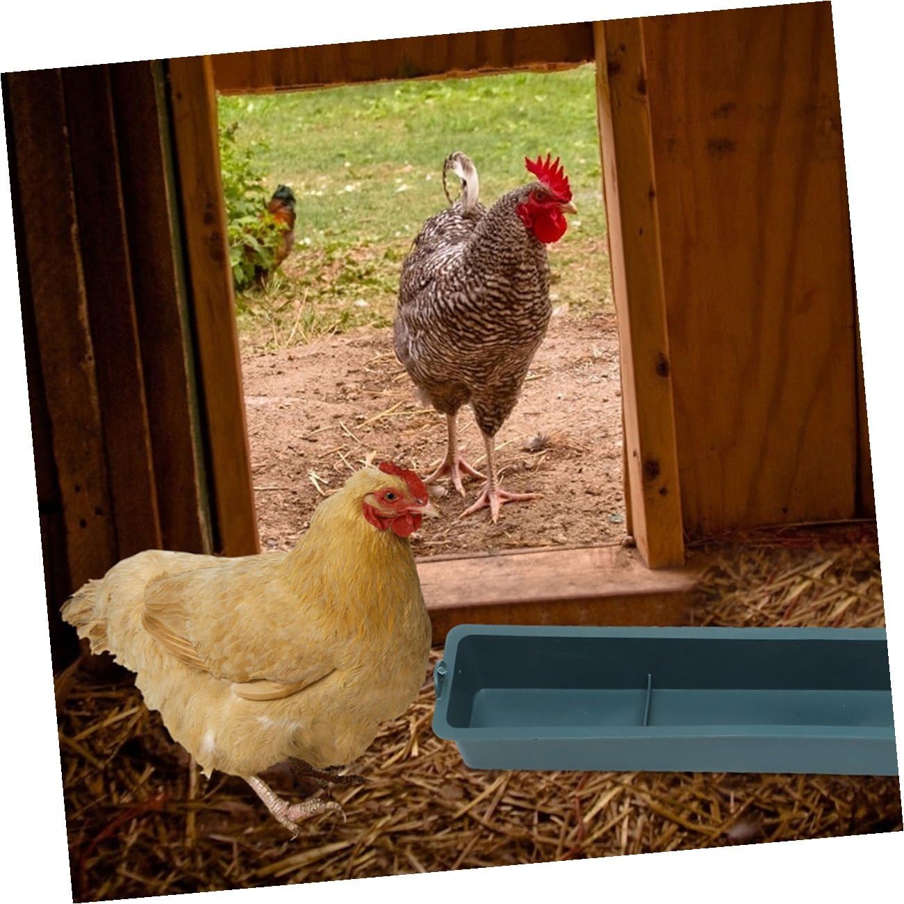 Lurrose 2pcs Plastic Bird Feeder Basket with 3 Compartments Hanging Cage Chicken Food Dispenser Anti-Spill Trough for Parakeet, Pigeon, Duck Feeding in Poultry Cages