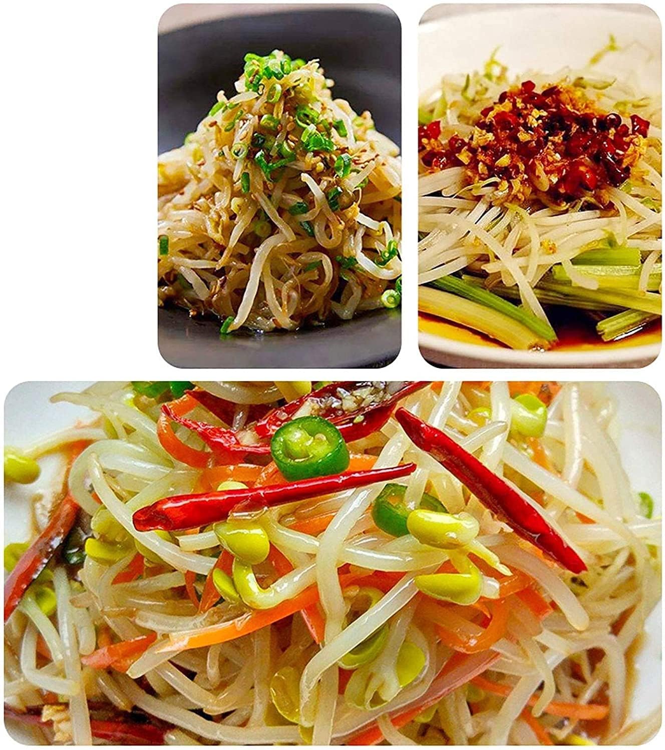 Bean Sprouts Machine, Automatic Bean Sprouts Cultivation Machine, Large Capacity Intelligent Yogurt natto Sake Germination Machine, PP Material, (Without Pressure Plate 3 Floors)