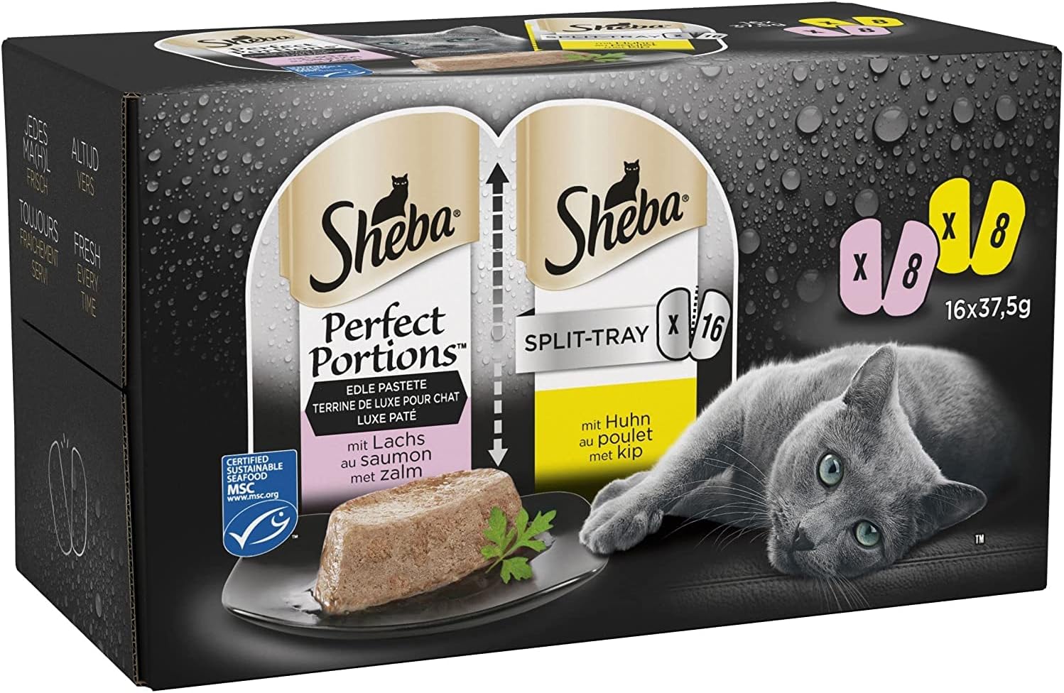Sheba Perfect Portions Cat Wet Food - Turkey and Duck Chunks in Gravy, 8 x 2 x 37.5 g (Pack of 4)