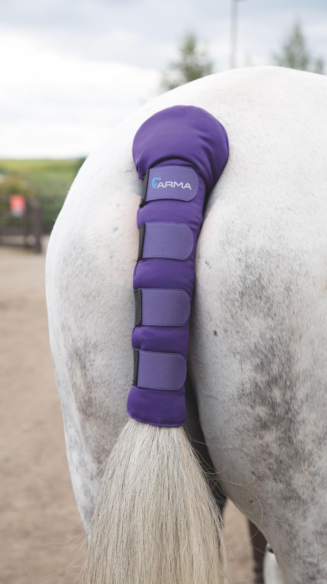 Shires - Protector acolchado para cola de caballo, morado, talla única