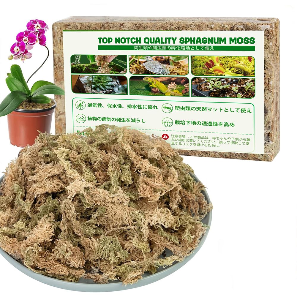 Amazon | 水苔 園芸用 圧縮水苔 胡蝶蘭 ミズゴケ 多肉植物 観葉植物 食 Amazon | 水苔 園芸用 圧縮水苔 胡蝶蘭 ミズゴケ 多肉植物 観葉植物 食