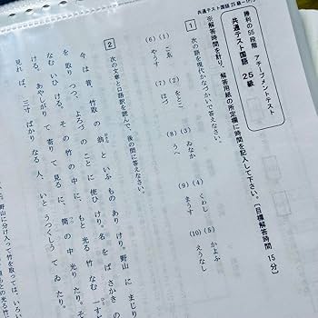 Amazon.co.jp: 四谷学院55段階共通テスト対策大学受験対策国語