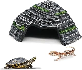 Troubleshooting Python: Turtle Module Not Found | PetShun