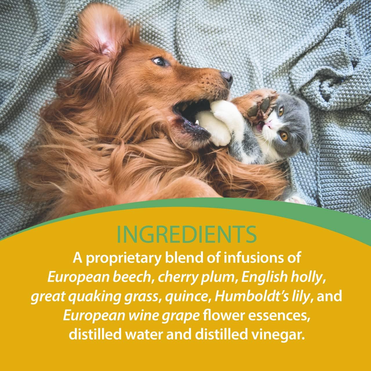 Botanical Animal Safe Natural Flower Essence - Sibling Rivalry for Aggressive Or Territorial Behaviors - Improves Sharing and Peace - Non-Mood Altering, Hemp-Free, Non Allergenic - 4 oz (120 ml)