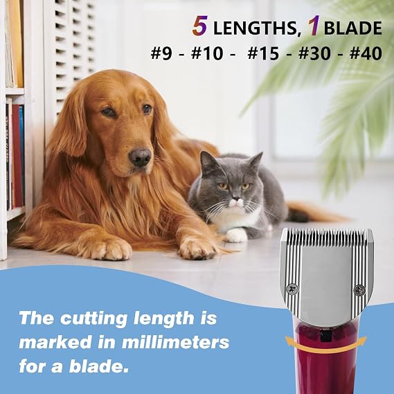 Adjustable 5-in-1 Fine Blade for Animals, Cutting Length 0.7-3 mm, Compatible with Wahl Arco, Bravura, Chromado, Creativa, Figura and Motion (3 Packs)