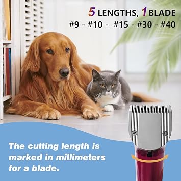 Adjustable 5-in-1 Fine Blade for Animals, Cutting Length 0.7-3 mm, Compatible with Wahl Arco, Bravura, Chromado, Creativa, Figura and Motion (3 Packs)