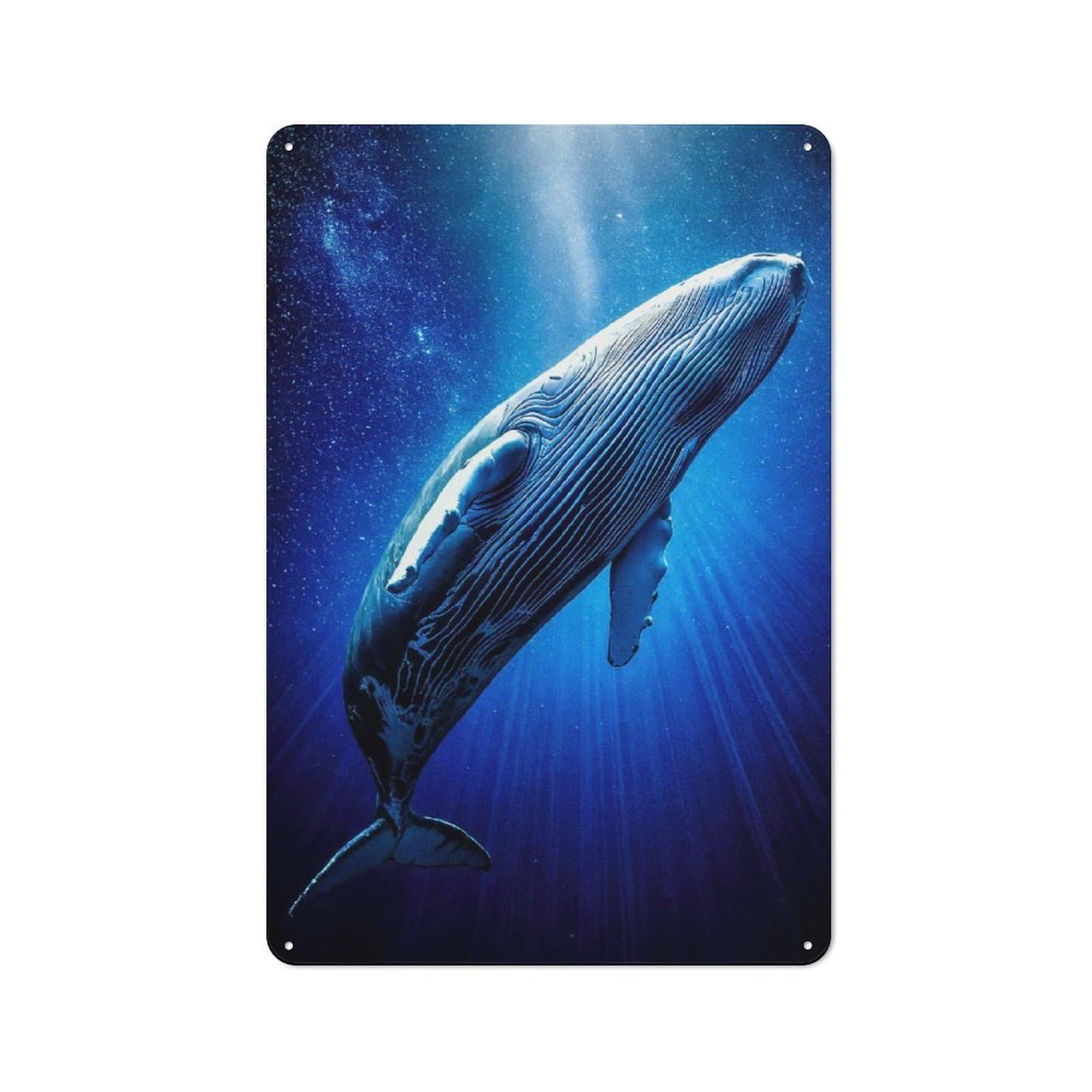 Junmoney Galactic Humpback Whale Vintage Metal Plaque 30X20cm For Living Room Or Hallway, A Christmas Gift For People Styling Living Room And Hallway