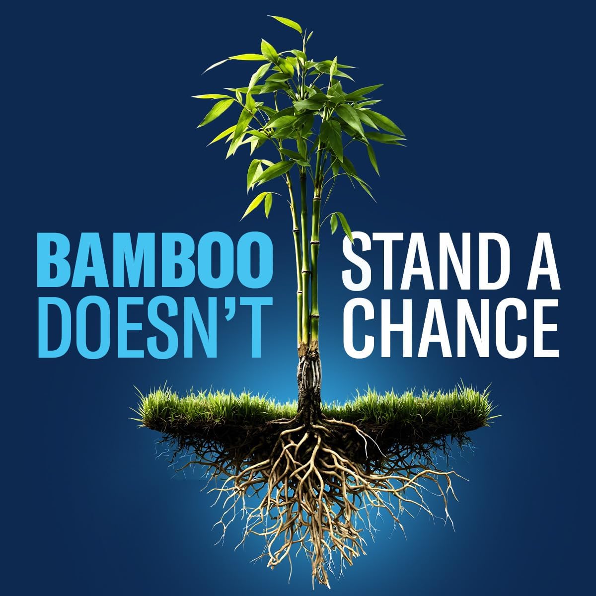 BioAdvanced Extended Control Brush Killer, Concentrate, 32 oz