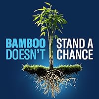 Vista 2 de BioAdvanced Extended Control Brush Killer Concentrado, 32 onzas, hiedra venenosa al aire libre, bambú y mata hiedra inglesa