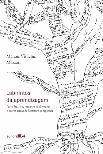 Labirintos da aprendizagem: Pacto Fáustico, Romance de Formação e Outros Temas de Literatura Comparada