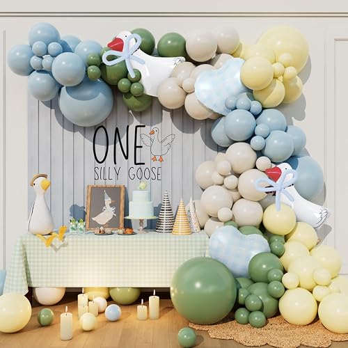 One Silly Goose Balloon Arch Kit for Boys Girls Silly Goose Birthday Baby Shower Vintage Pink Blue Green Yellow Gingham Party Decorations (Blue)