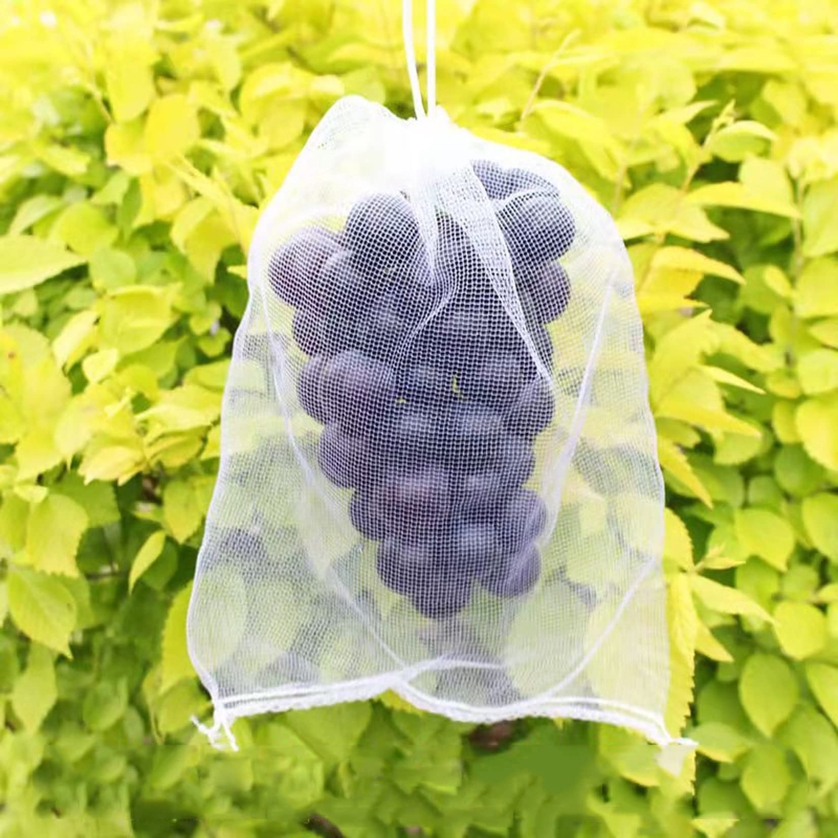 WLWLEO Bolsas de protección de Frutas, Paquete de 200 Bolsas de Red de jardín con cordón, Funda Protectora de Frutas Reutilizable para contra plagas Insectos Moscas Insectos pájaros,8x12inch/20x30cm
