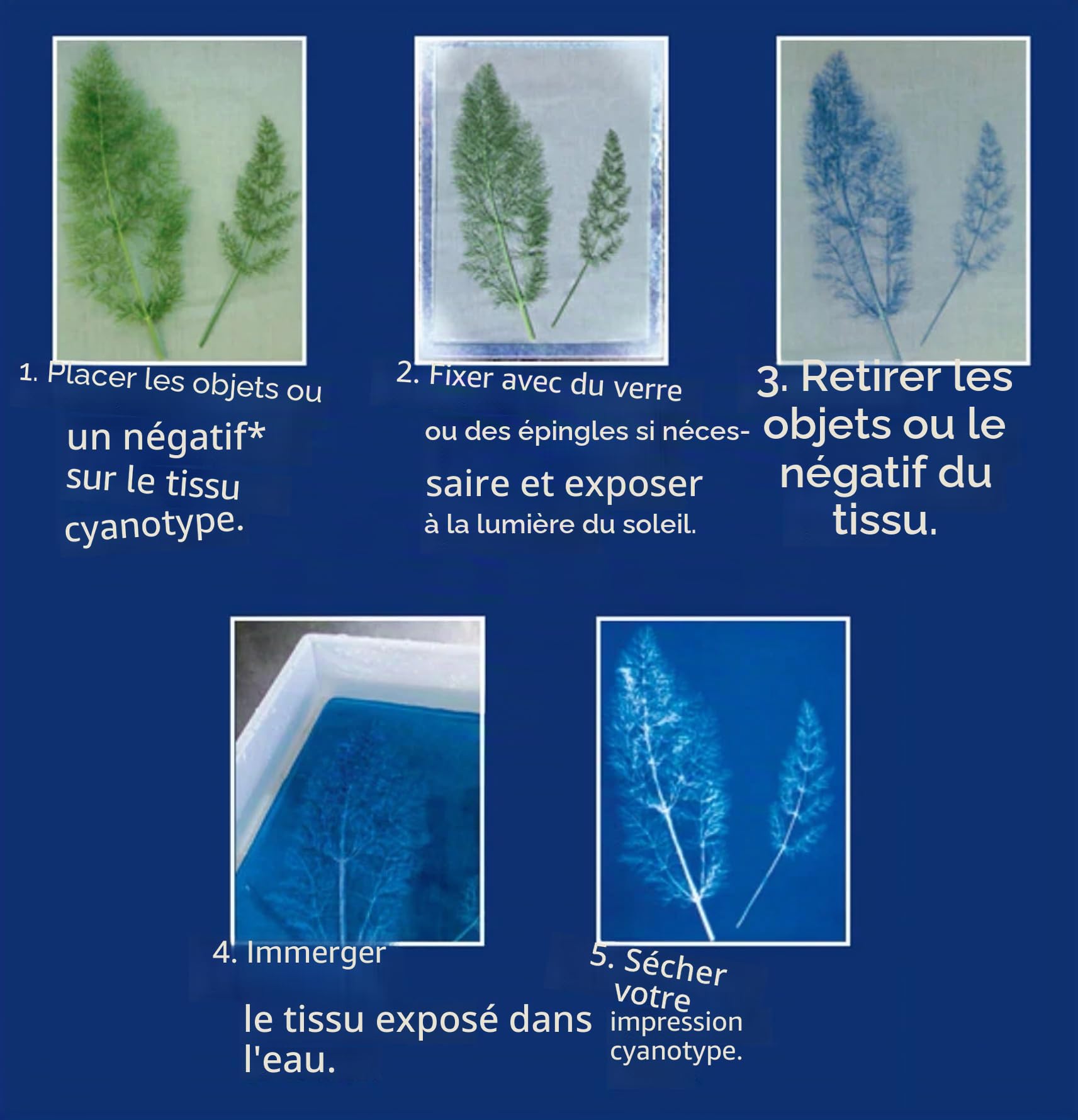 Jacquard Ferricyanure de potassium 4 oz