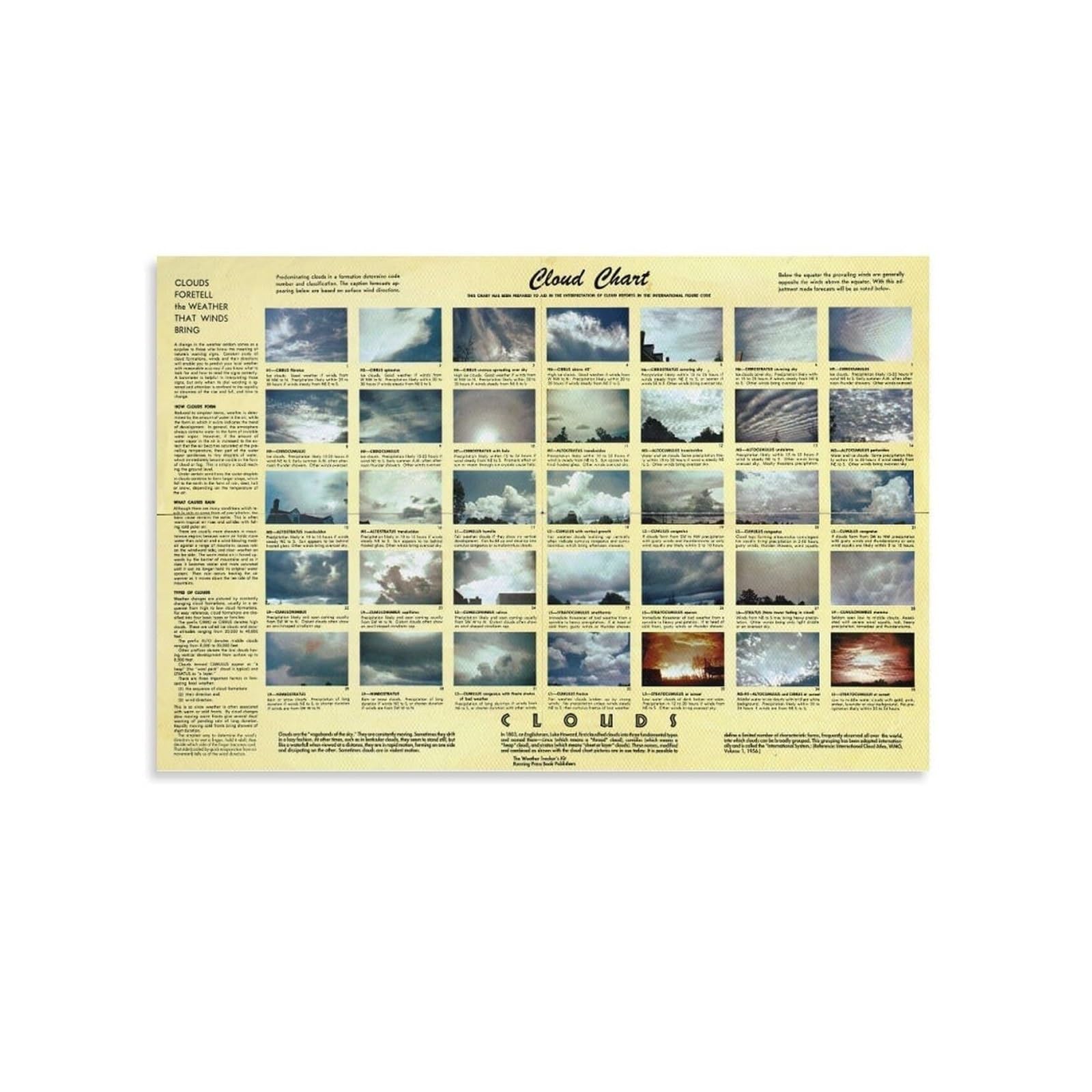 ICYJRFHLTF Educational Cloud Chart Metal Tin Sign Types of Clouds Identification for Science Classroom Wall-Art and Weather Study 8 X 12 inch