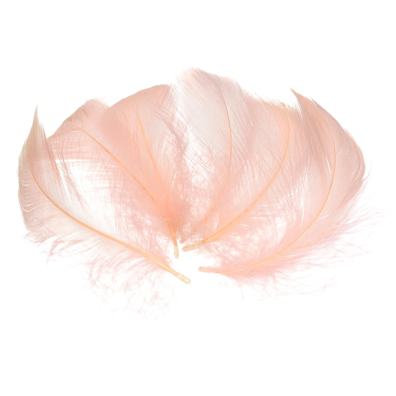 sourcing map 100Pcs Champagne Craft Feathers, 3-6 Inch Colored Feathers for Crafting, Fluffy Feather Bulk for DIY Crafts, Dream Catcher Supplies, Wedding Party Decoration