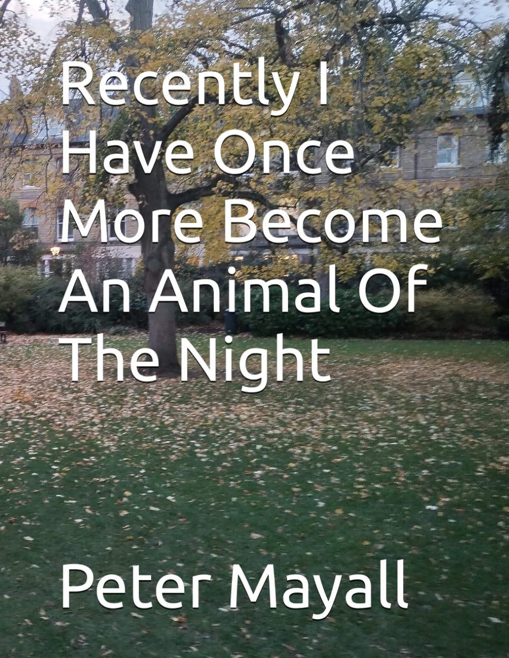 Recently I Have Once More Become An Animal Of The Night