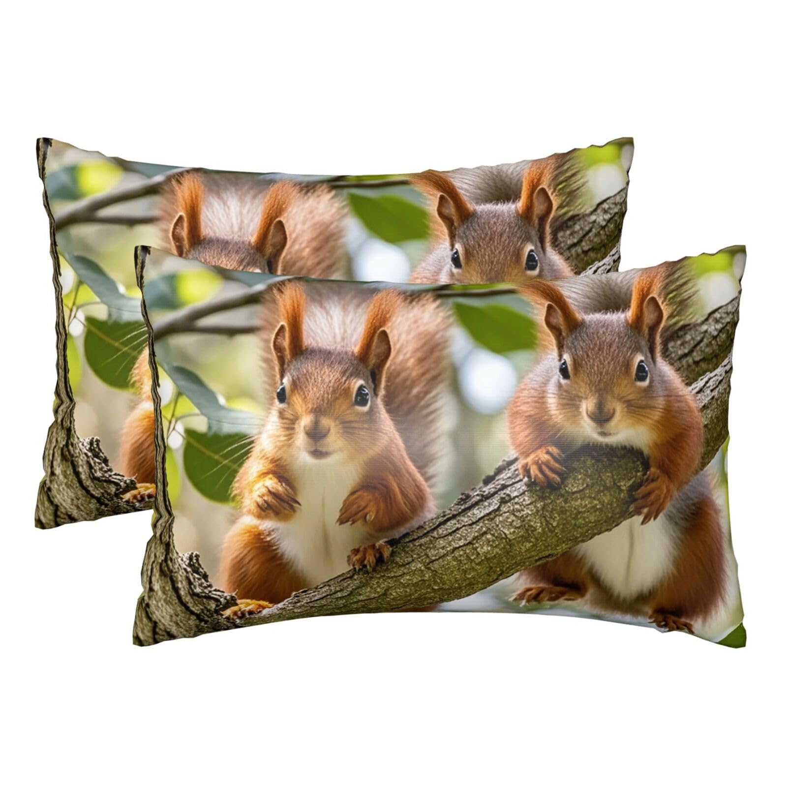 Silk Pillowcases Set of 2 Pillow Shams Breathable Soft Pillow Covers with Envelope Closure Cute Squirrels Pillowcases Standard Size 20x30 Inches Washed Pillow Cases for Hair and Skin