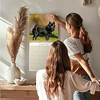 Vista 806 de Razas de Perros 2017