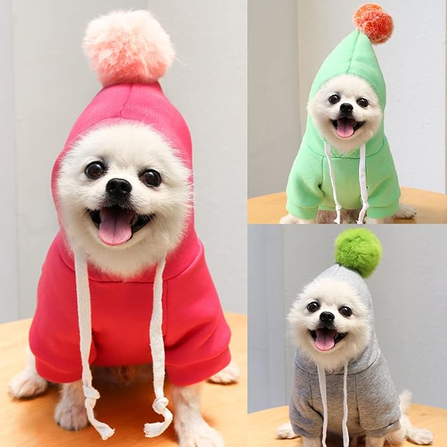 Ropa cálida de invierno para perro, lindo abrigo de frutas con capucha de forro polar para mascotas