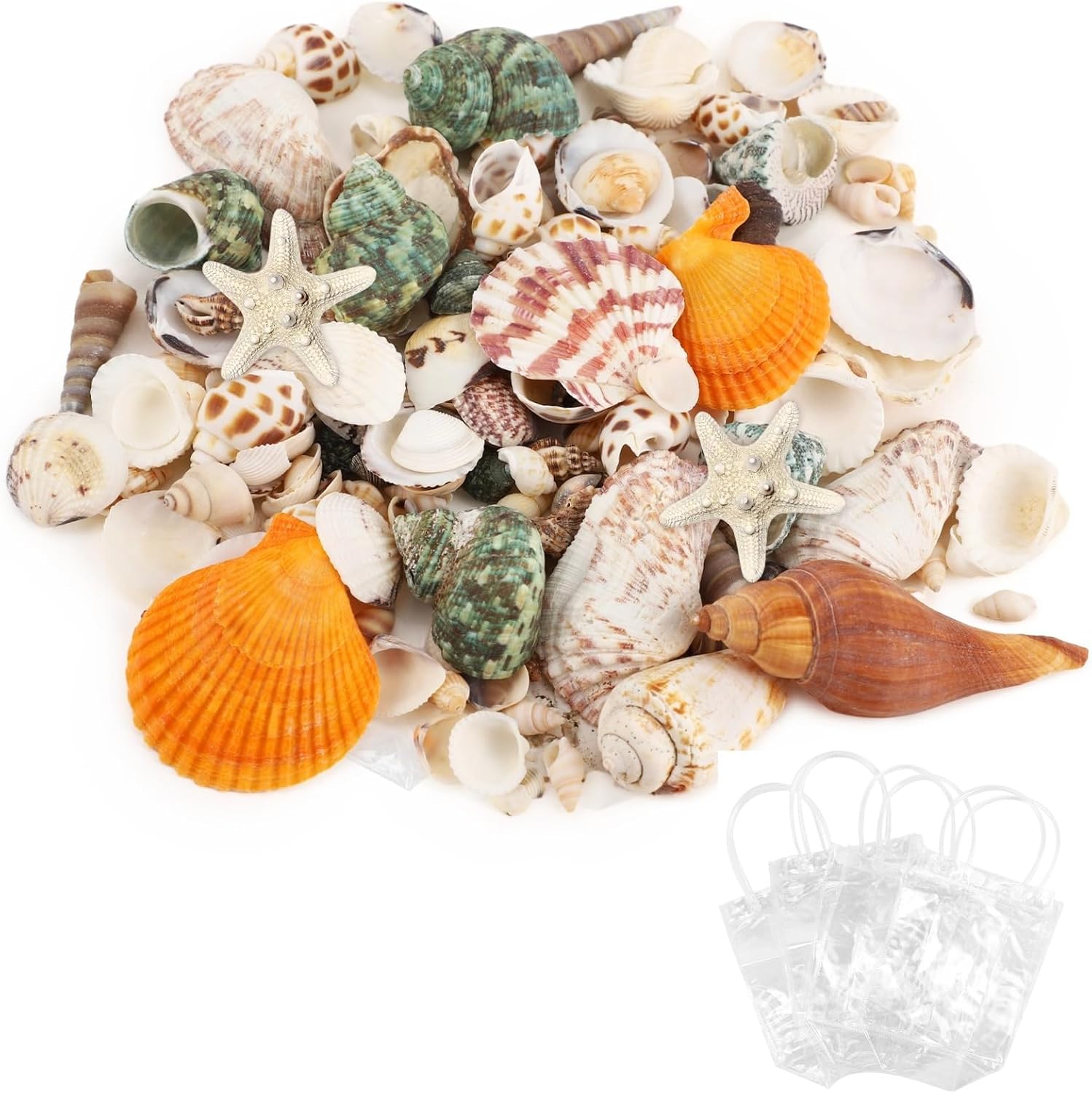 200-320 Pcs Seashells 1000G For Crafting, Natural Mixed Shells With Starfish, Decor & Fish Tank Decoration