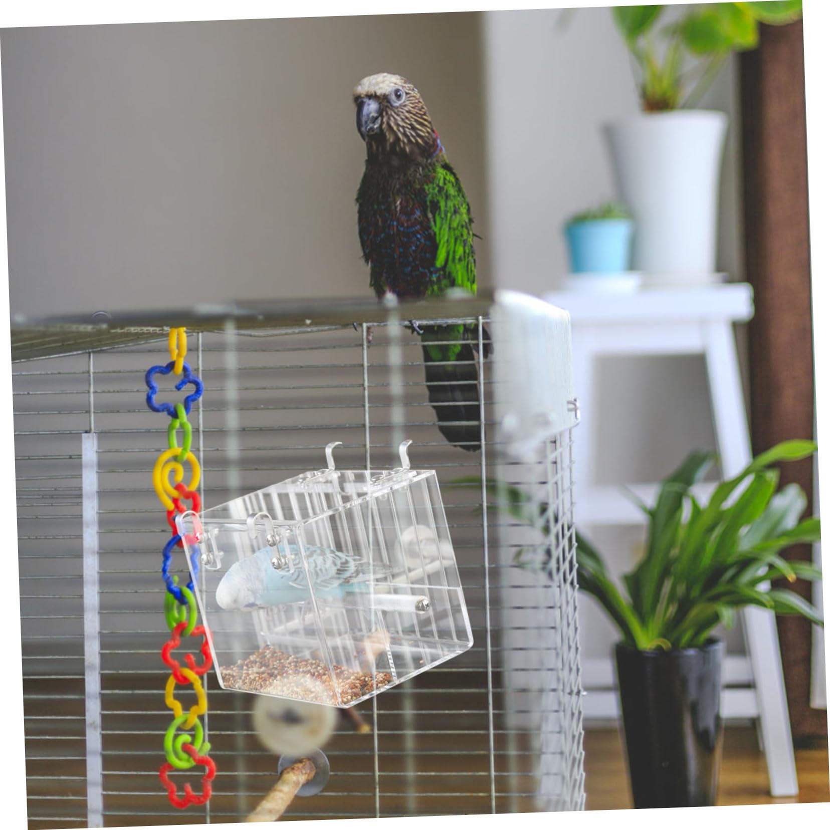 KOMBIUDA Mangeoire Automatique Oiseaux Bol Plastique pour Cage Perroquet Facile à Installer et Nettoyer
