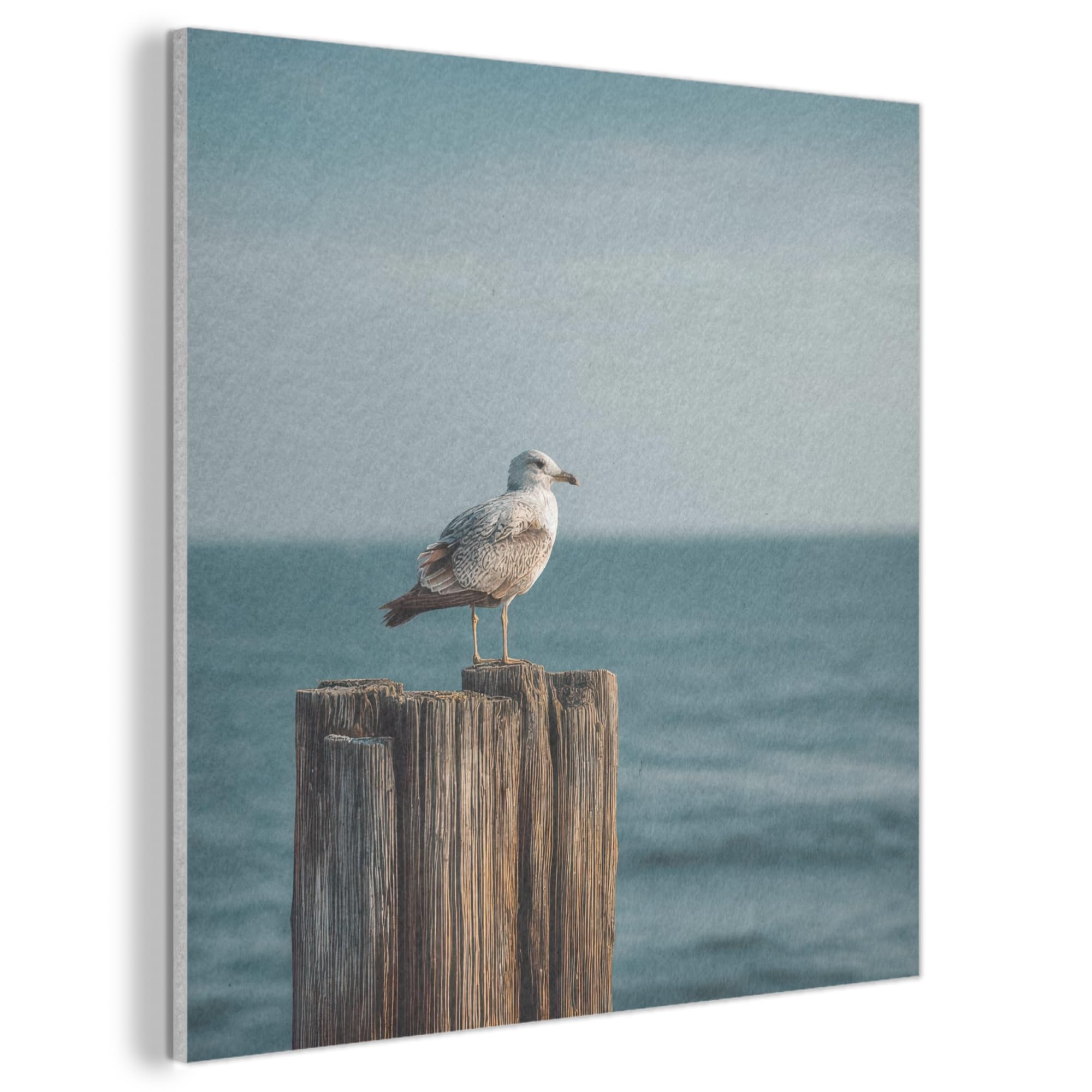 MuchoWow© Felt Panel 50x50 cm House Touch for Living Space Modern Visuals Decoration Wall Art Gull - Pole - Sea