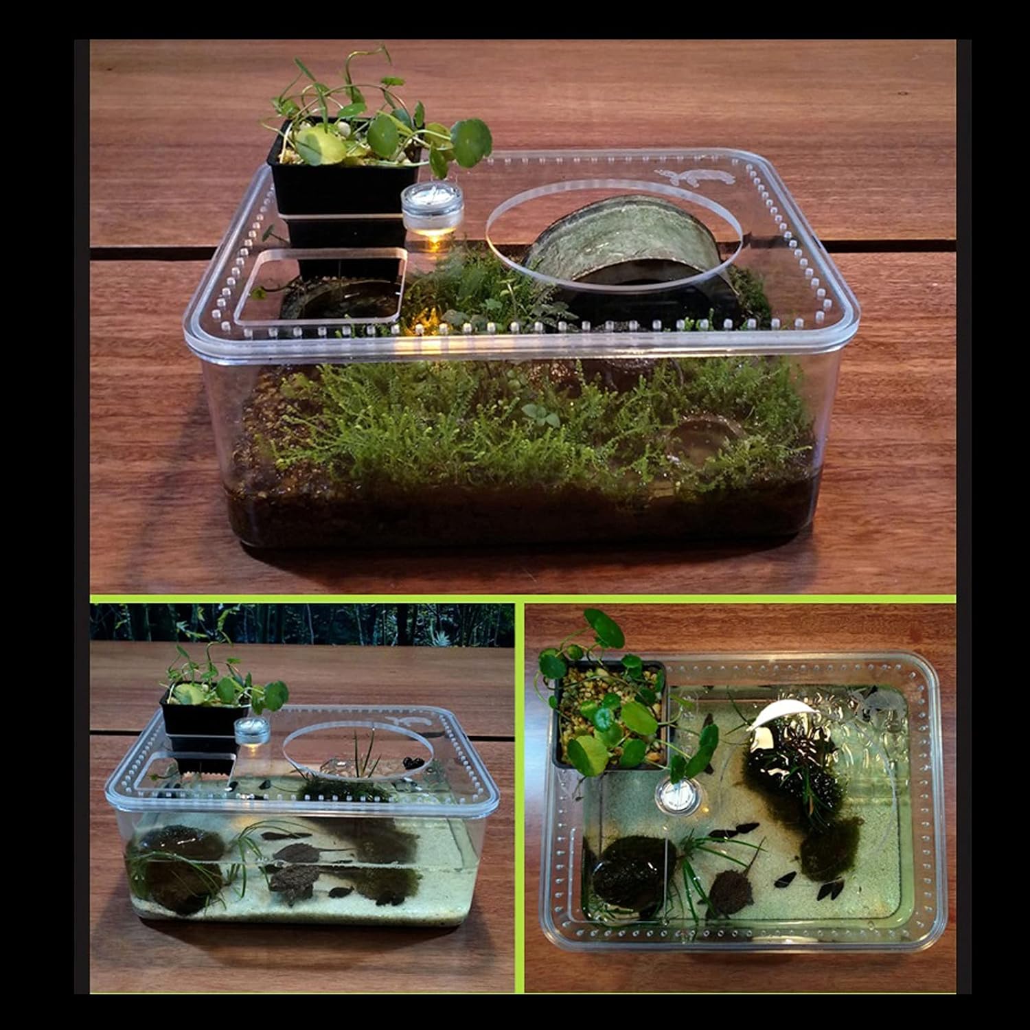 SUNESA Reptile Breeding Box Tortoise Tank Amphibious Platform Plastic Basin Small Desktop Fish Tank Without Water Change Breeding Box Transparent Turtle Tank Aquarium