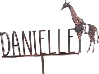 Personalised Name and Any Age Birthday Cake Topper. Custom Cake Decoration. Decorative Giraffe. Custom Name and Age Birthday Cake Party Decoration. 35 Colour options. Mirror Finish.Arcylic.