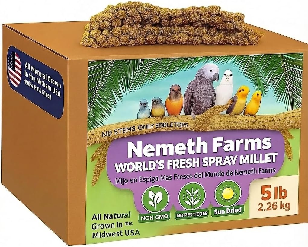 Nemeth Farms Worlds Freshest GMO-Free, Sun Dried Spray Millet No Stems Only Edible - Tops-Original Bird Treat and Supplement for Pet Birds Parakeets, Cockatiels, Lovebirds and Finches - 5lbs