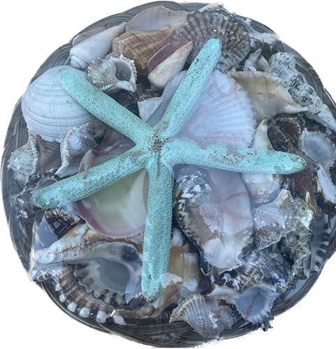 Miniatura 2 de carga de olokun cesta de caracoles carga de olokun santeria religion ifa olokun osha elegua yemaya oshun