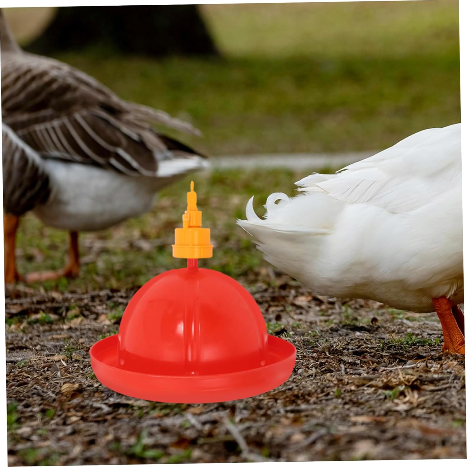 Automatic Chicken Waterer Floating Valve 1 Set Poultry Water Dispenser for Chickens Ducks and Geese Sturdy Hanging Drinkers Easy Refill System