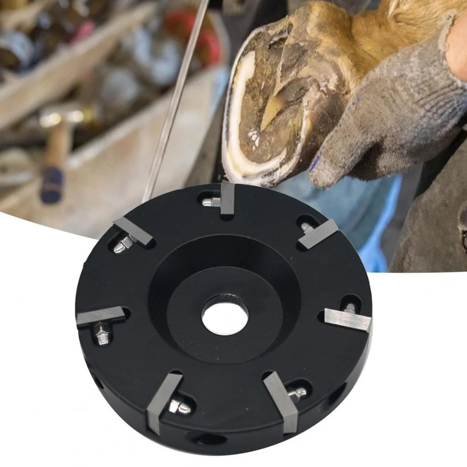 Disco per rifilare zoccoli Lega di alluminio temprato 8 lame Mola per bovini Cavalli Pecore Bestiame Strumento per la cura degli zoccoli Diametro 10 cm Altezza 1 cm