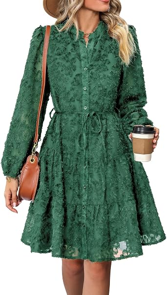 Womens Long Sleeve Fall Dresses 2024 Button Up Empire Waist with Belt A-Line Mini Dress Casual Fall Winter Dress
