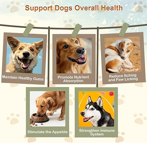 Miniatura 3 de Probióticos para perros  200 probióticos masticables para perros, apoya la salud intestinal, inmunidad y alivio de gases de diarrea  Suave con