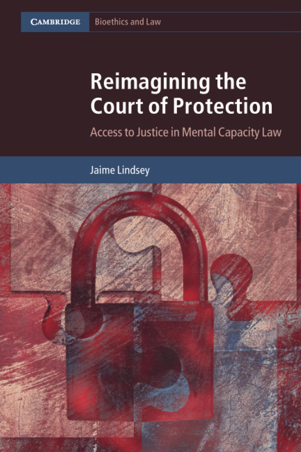 Reimagining the Court of Protection: Access to Justice in Mental Capacity Law (Cambridge Bioethics and Law)