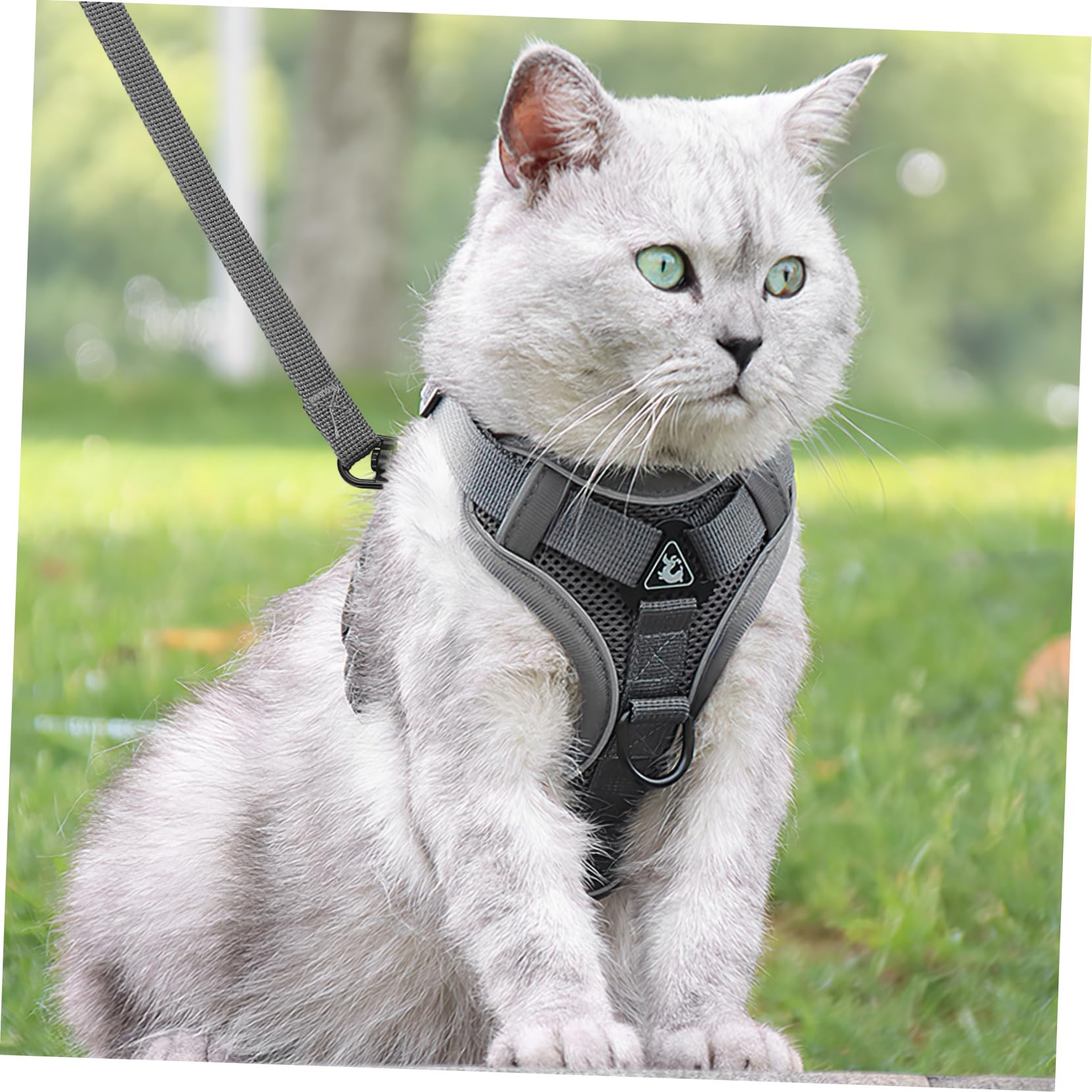 INOOMP 5stücke Hundegeschirr Mit Atmungsaktivem Mesh Reflektierendem Material Und Elastischem Design Für Kleine Hunde Und Katzen Sicheres Und Bequemes Tragegeschirr Für