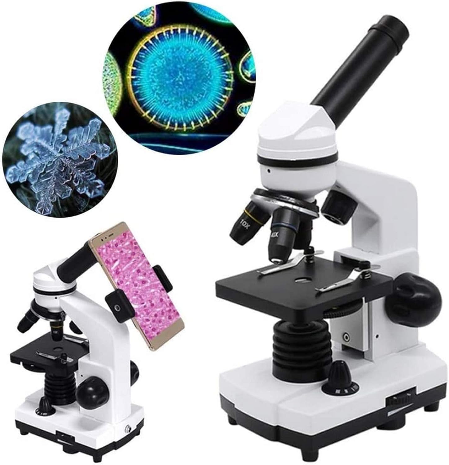 40X-1600X Magnification Head Research-Grade Binocular Compound Lab Microscope with Wide-Field 10X and 25X Eyepieces Mech