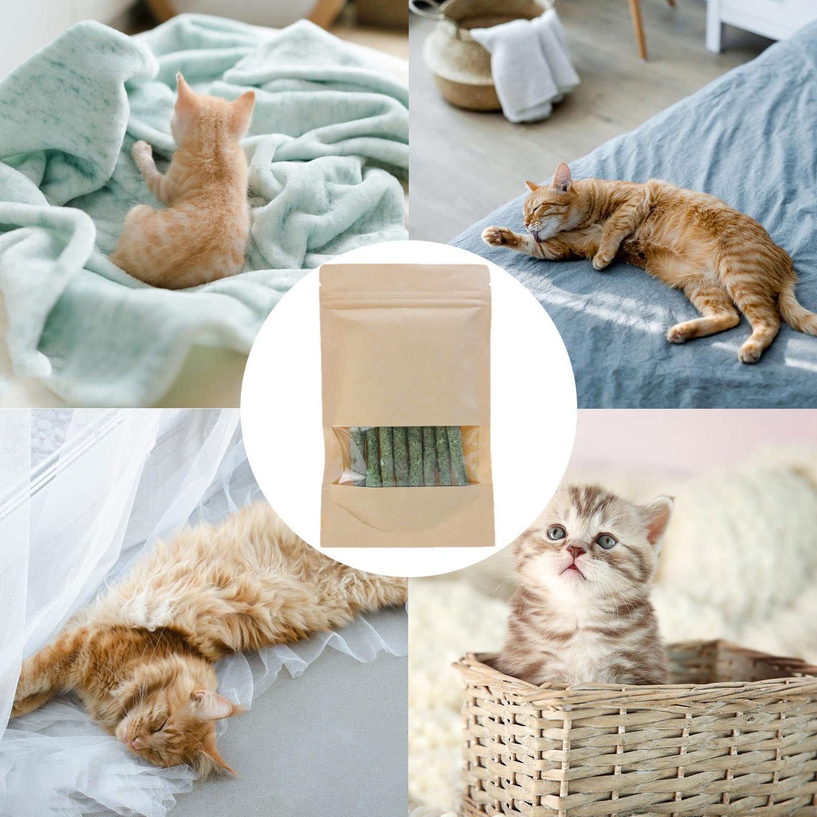 Palitos De Hierba Gatera Para Gatos ¡Diversión Y Cuidado Dental Para Tu Minino!