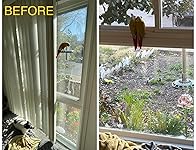 Review Image by Chilaquiles Chilaquiles