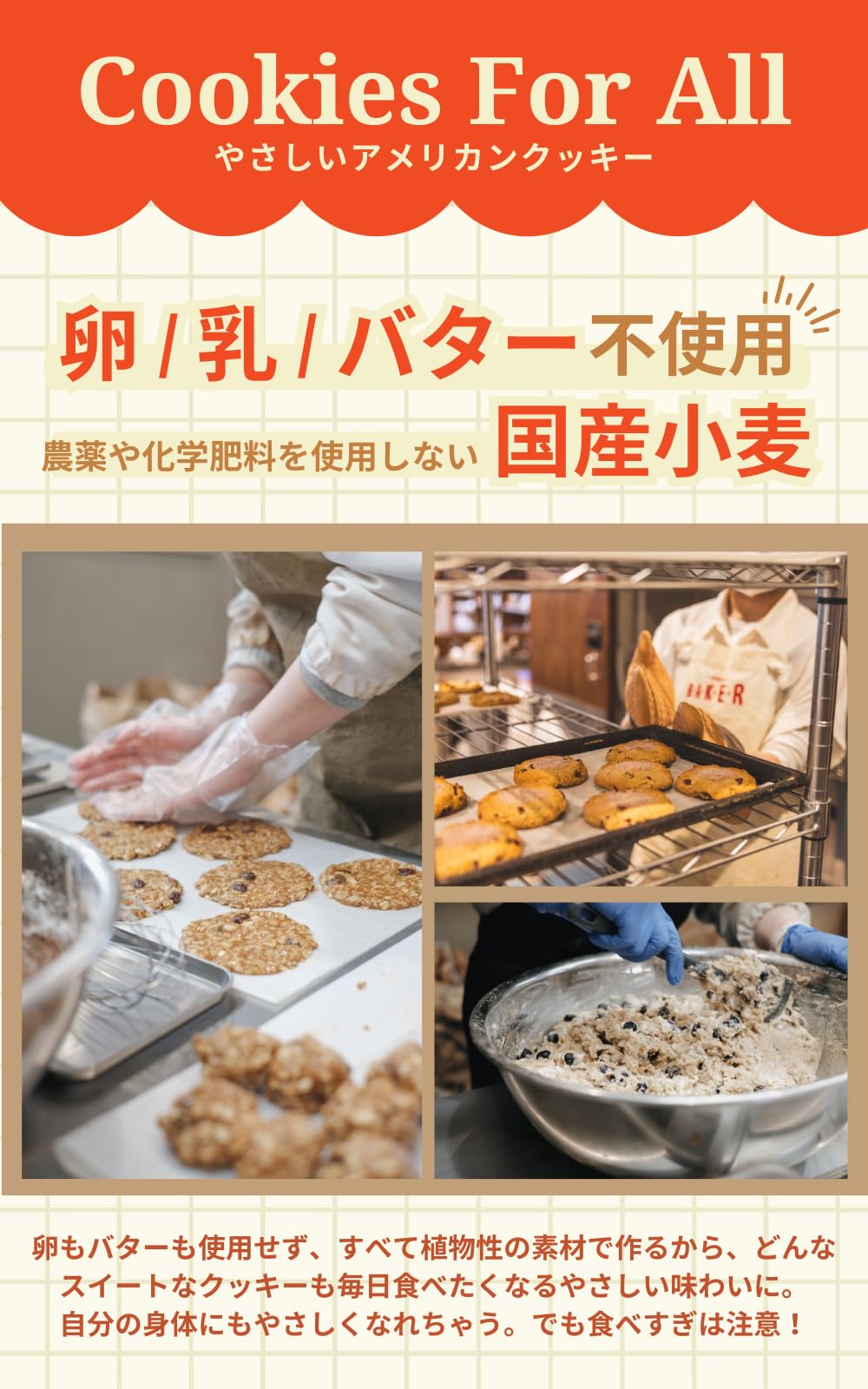 Amazon.co.jp: ovgo Baker アメリカンクッキー 詰め合わせ ギフト【12