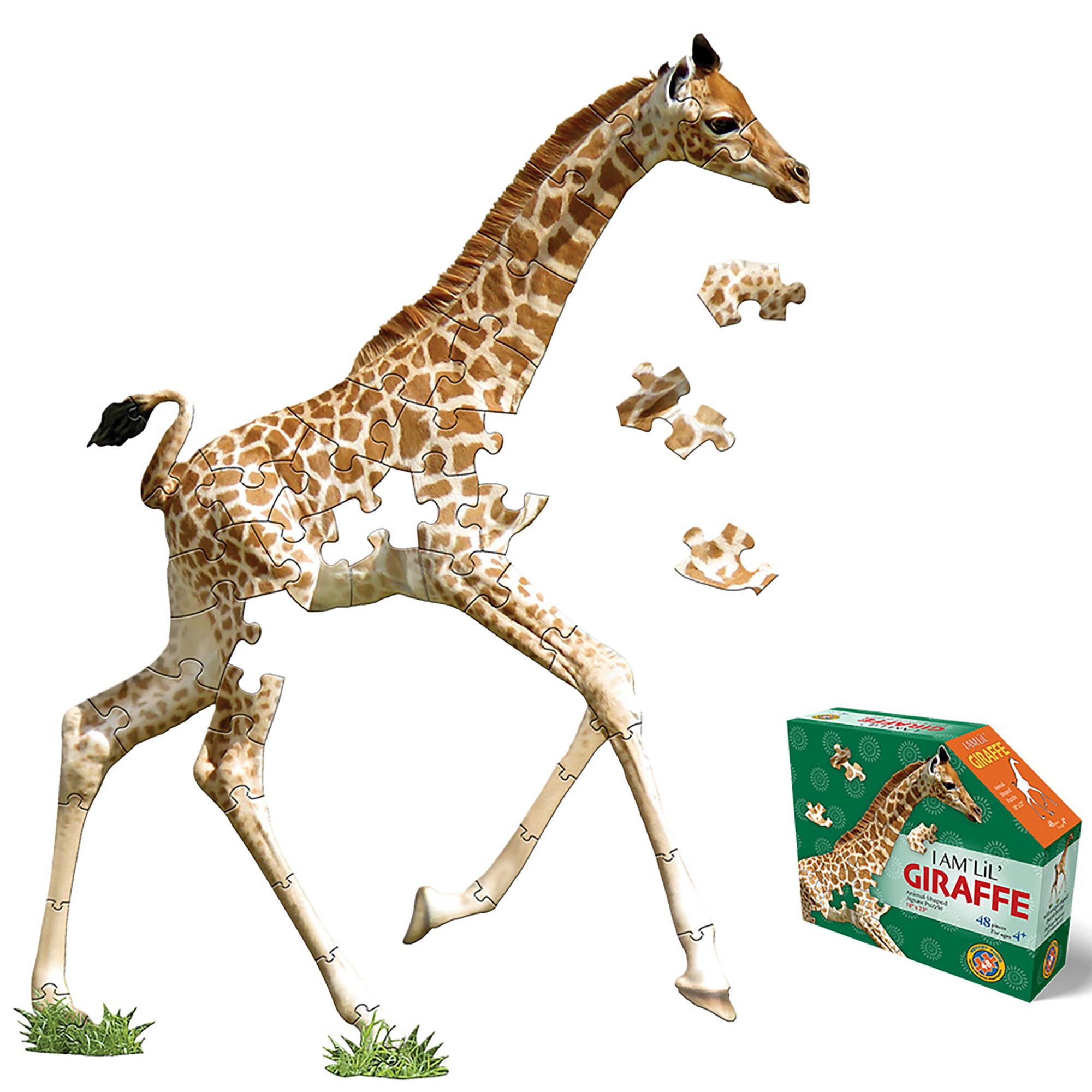 Amazon.com: Madd Capp: I Am Lil' Giraffe - 48 Piece Puzzle - Kids